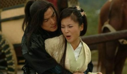 刘涛主演的电视剧全部,穿越时空的传奇人生