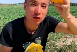 真千金吃瓜爆料,一场吃瓜爆料的豪门恩怨